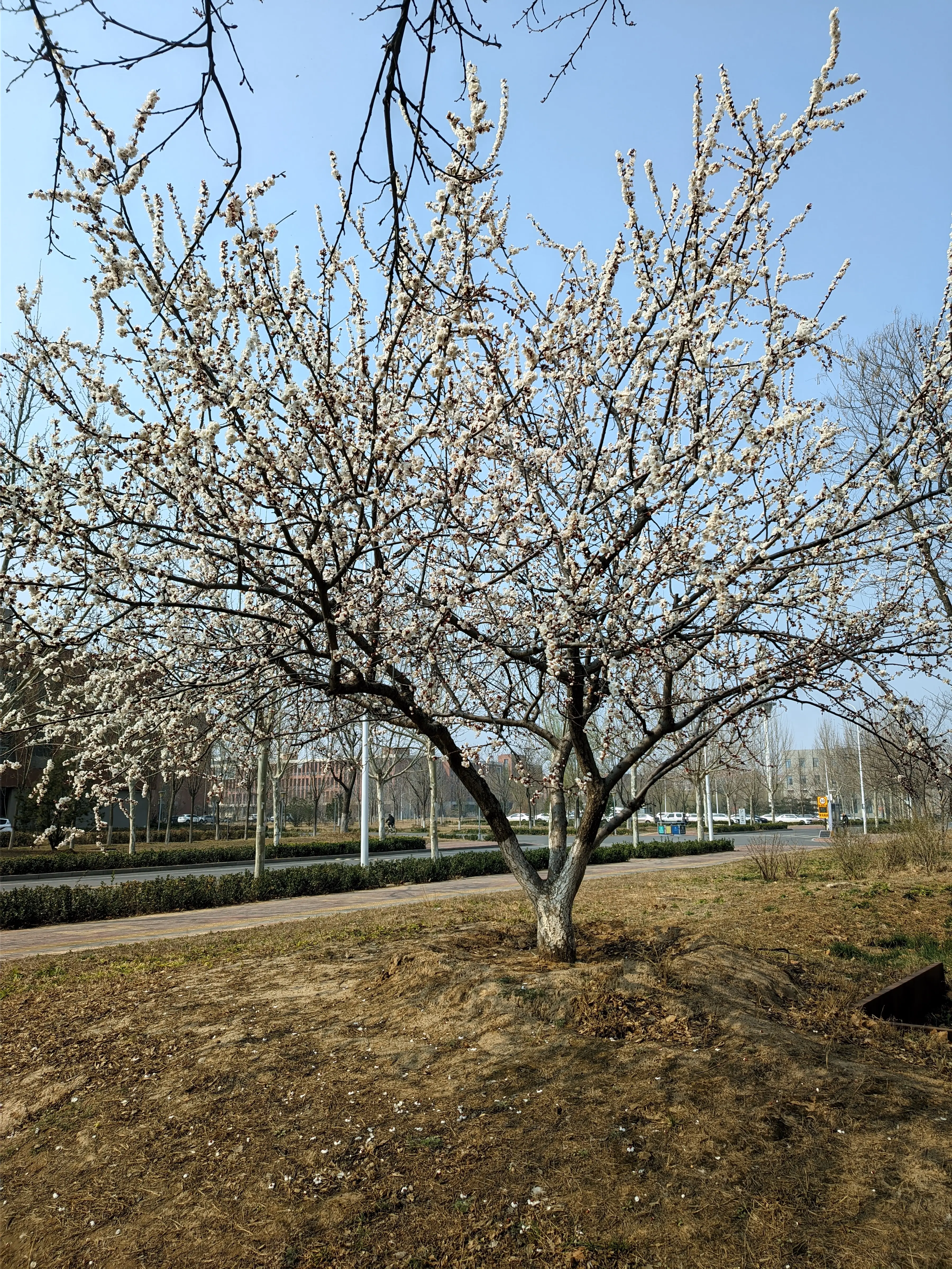 CRnall 20260312 140545738