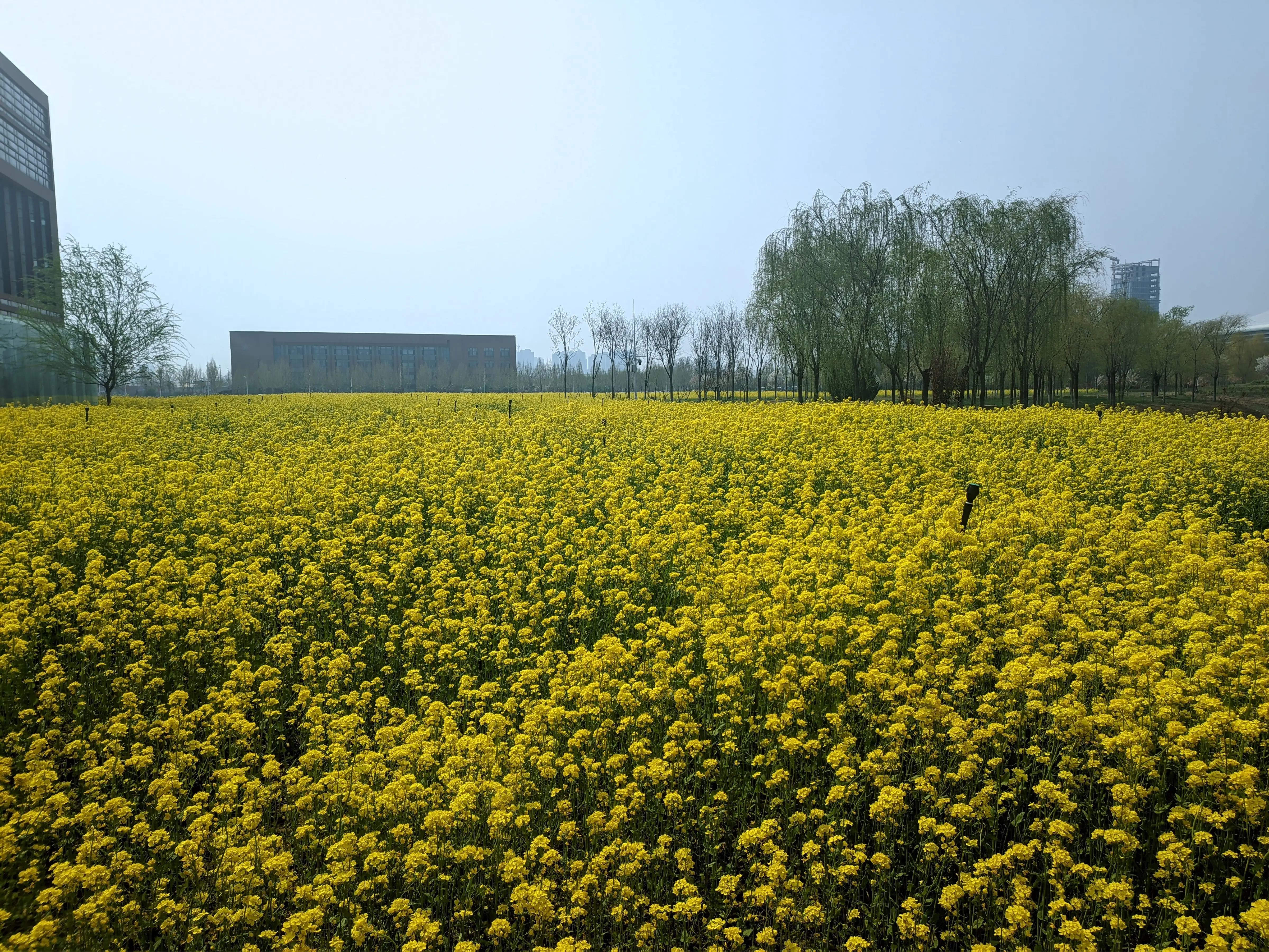 CRnall 20260331 113109243