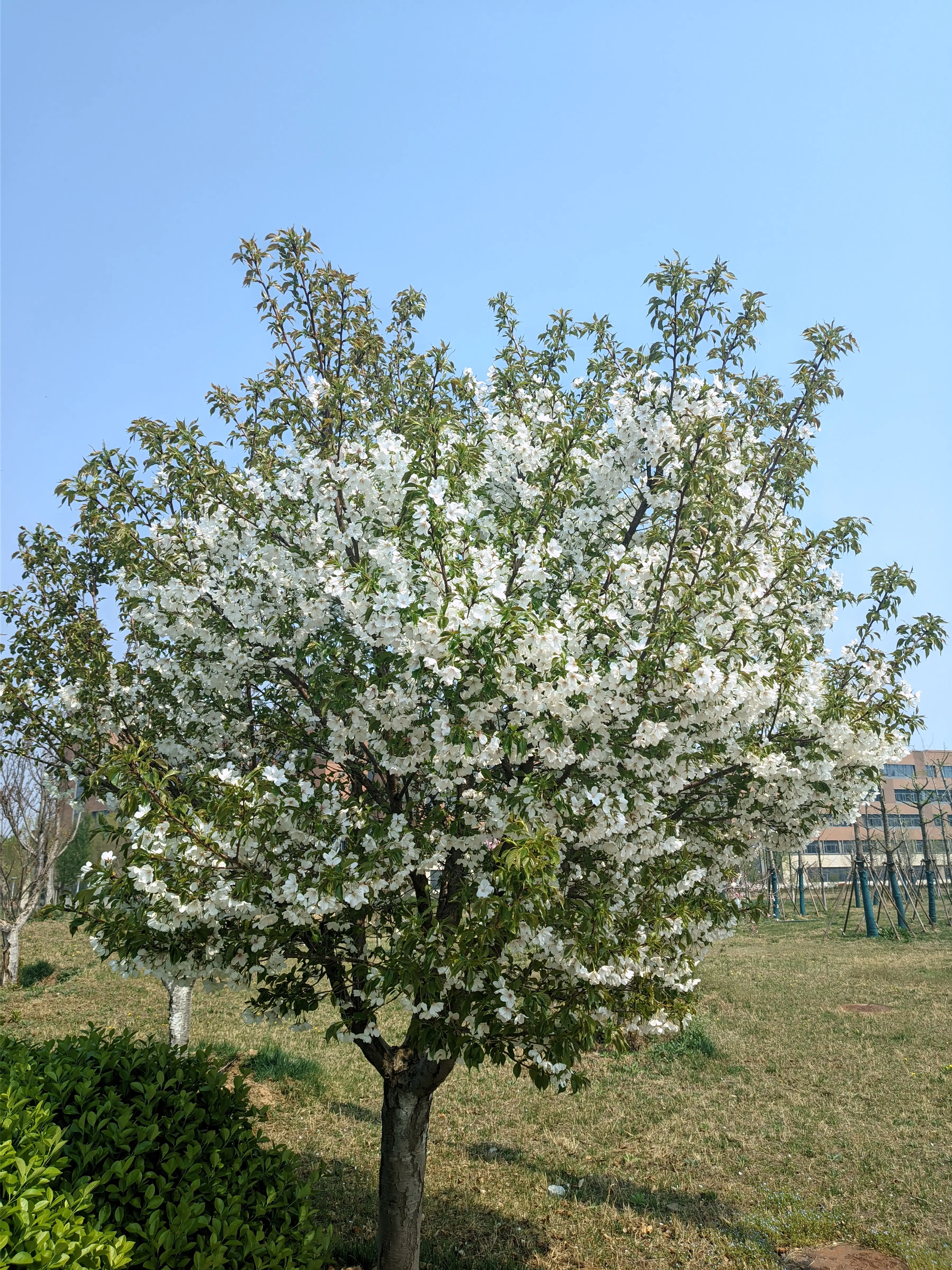 CRnall 20260331 113241741