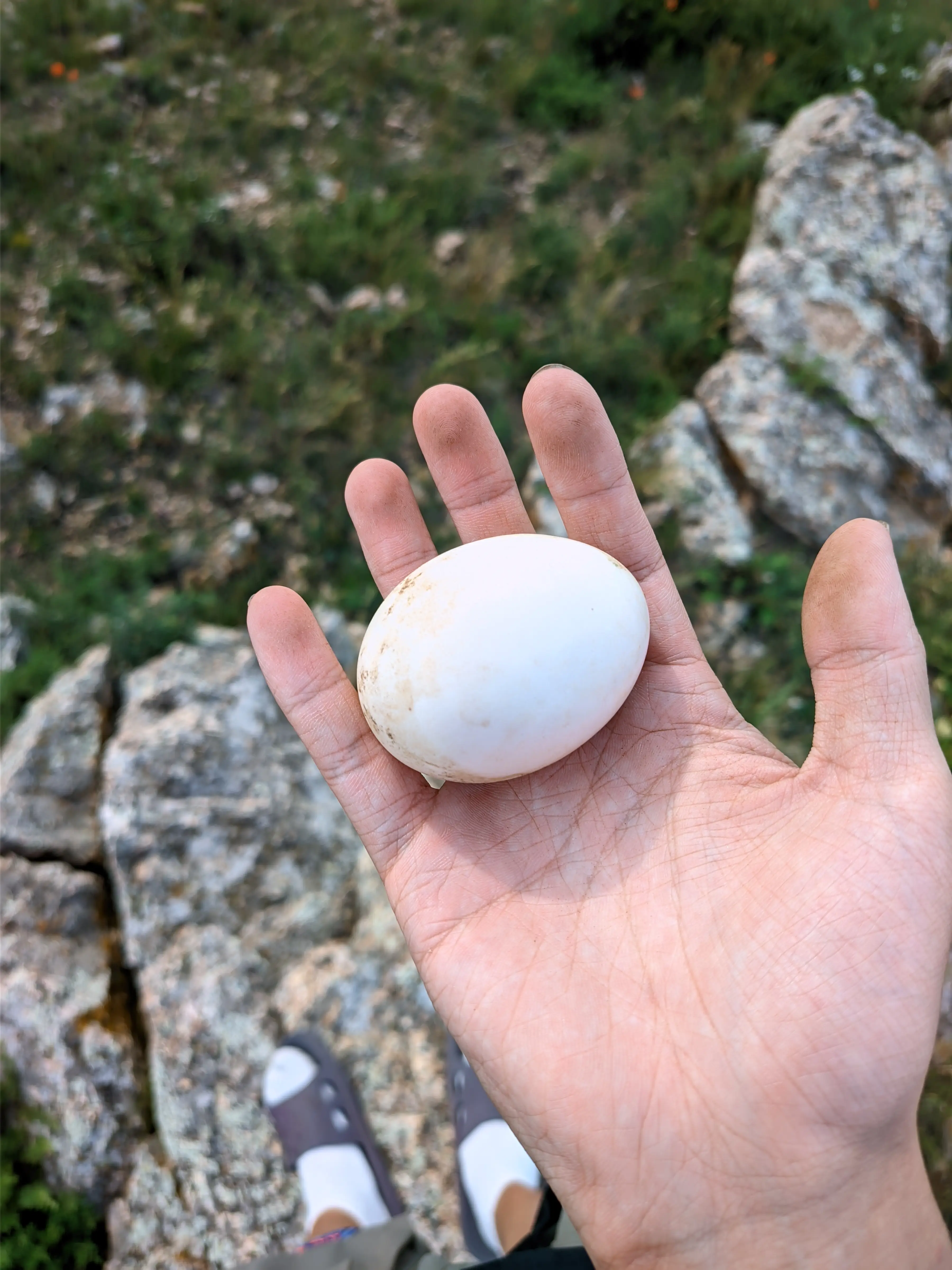 photo 20250711 161537